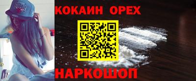 прущие крисы Гатчина