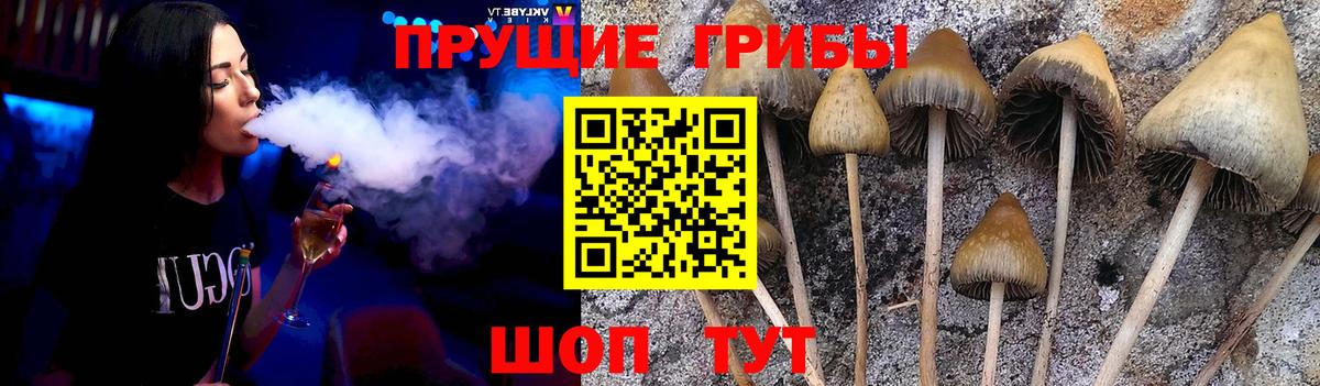 Галлюциногенные грибы Magic Shrooms Кумертау